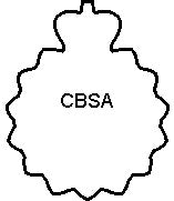 Badge Wallet--#BW4--Minimalist Wallet